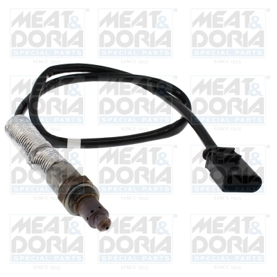 Oxygen Sensor